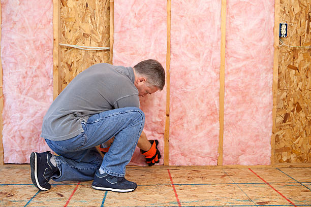 Best Cellulose Insulation in Sherwood, AR