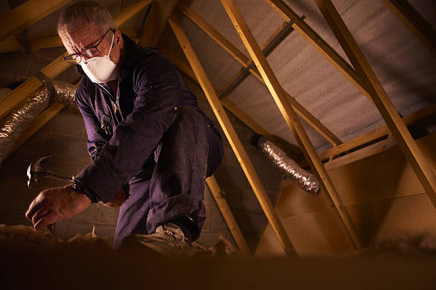 Types of Insulation We Offer in Sherwood, AR